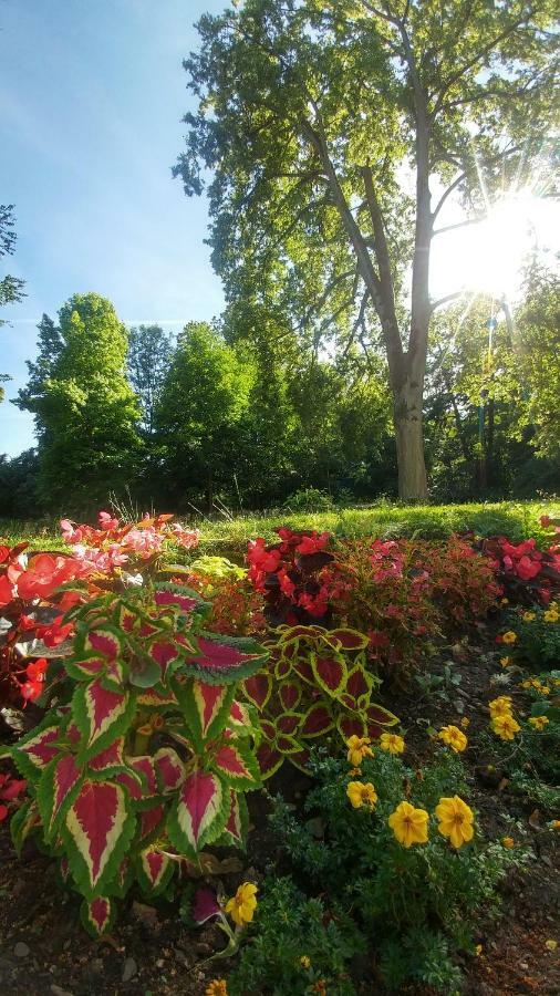 Moderne Ferienwohnungen Am Kurpark - Zentral, Ruhig & Nah Am Edersee Bad Wildungen Esterno foto